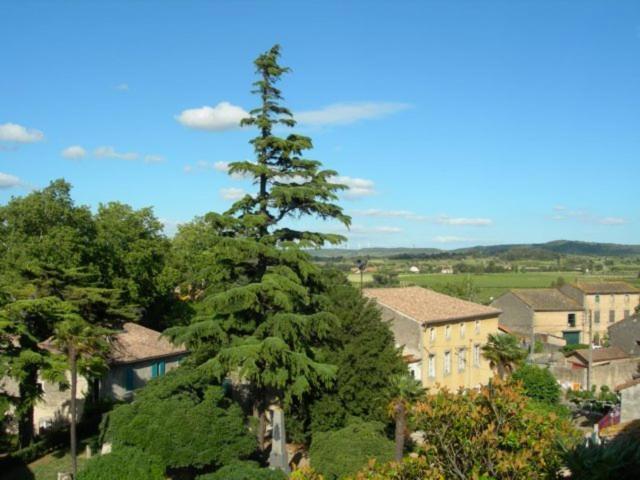 Saint-Couat-dʼAude Chambres D'Hotes Le Clos De Venes المظهر الخارجي الصورة